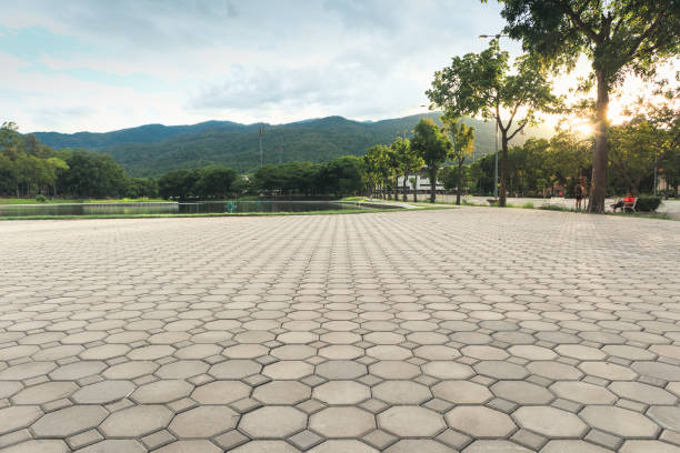 Best Best Driveway Pavers  in Trafford, PA